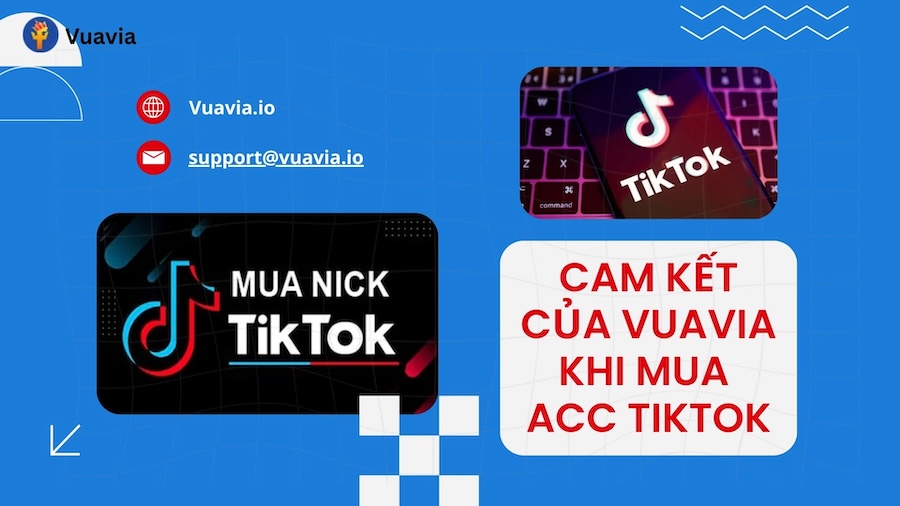 Cam kết của Vuavia về dịch vụ mua acc TikTok uy tín