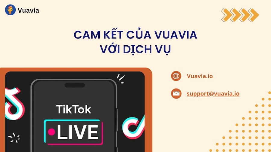 Cam kết của Vuavia với dịch vụ mua kênh TikTok bán hàng